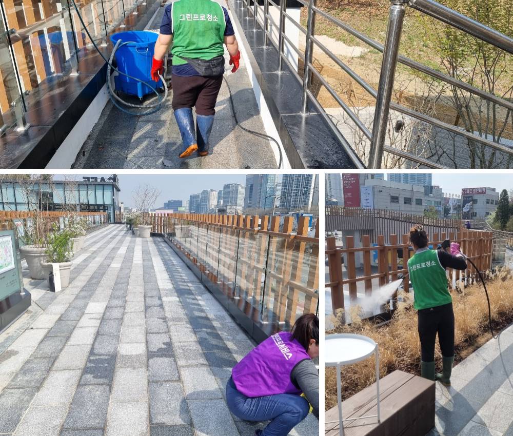 김포시 야외 공원 백화제거 - 시각적 즐거움과 깨끗한 환경을 선사합니다 관한 작업사진입니다.