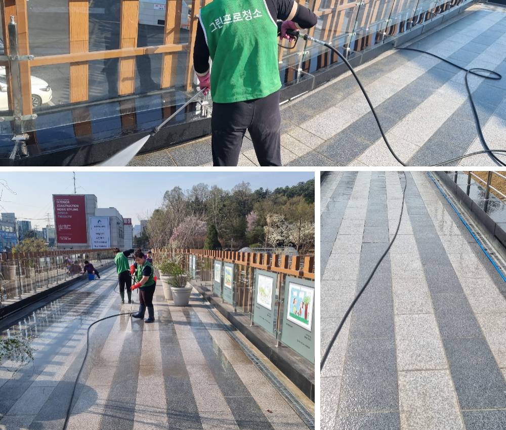 김포시 야외 공원 백화제거 - 시각적 즐거움과 깨끗한 환경을 선사합니다 관한 작업사진입니다.